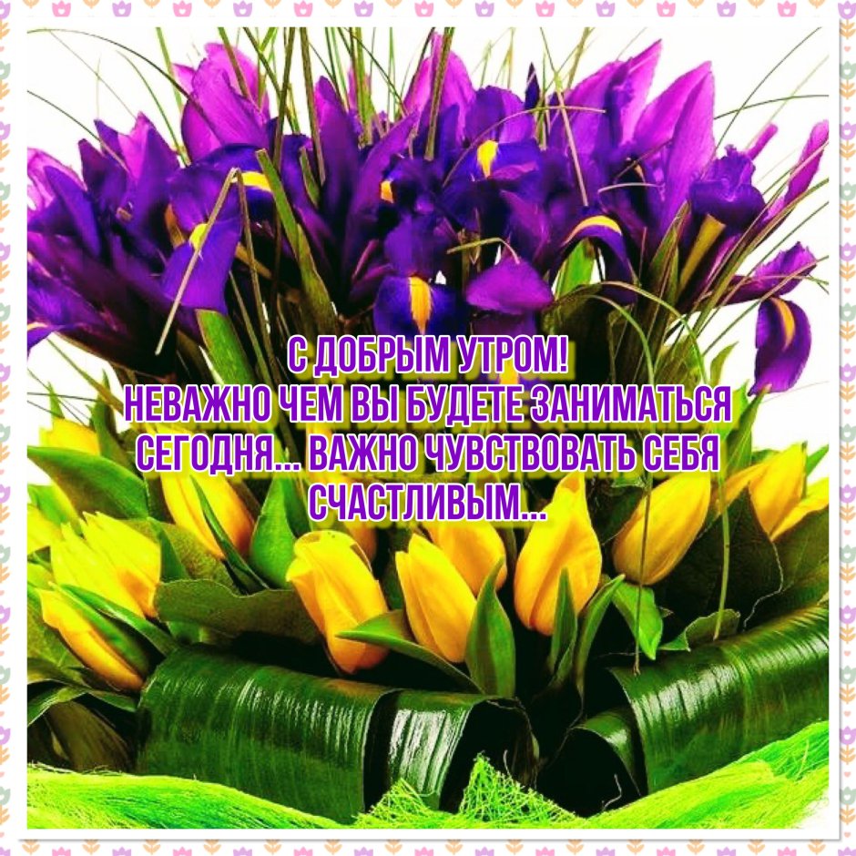 Цветы тюльпаны фиолетовые и желтые