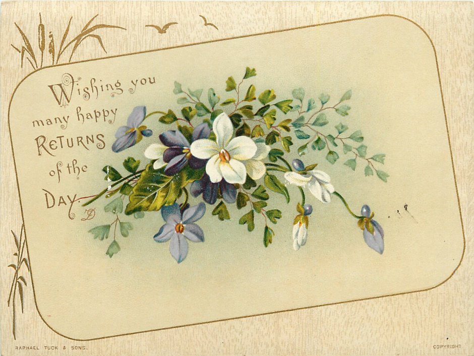 Семена открытки цветы Винтаж