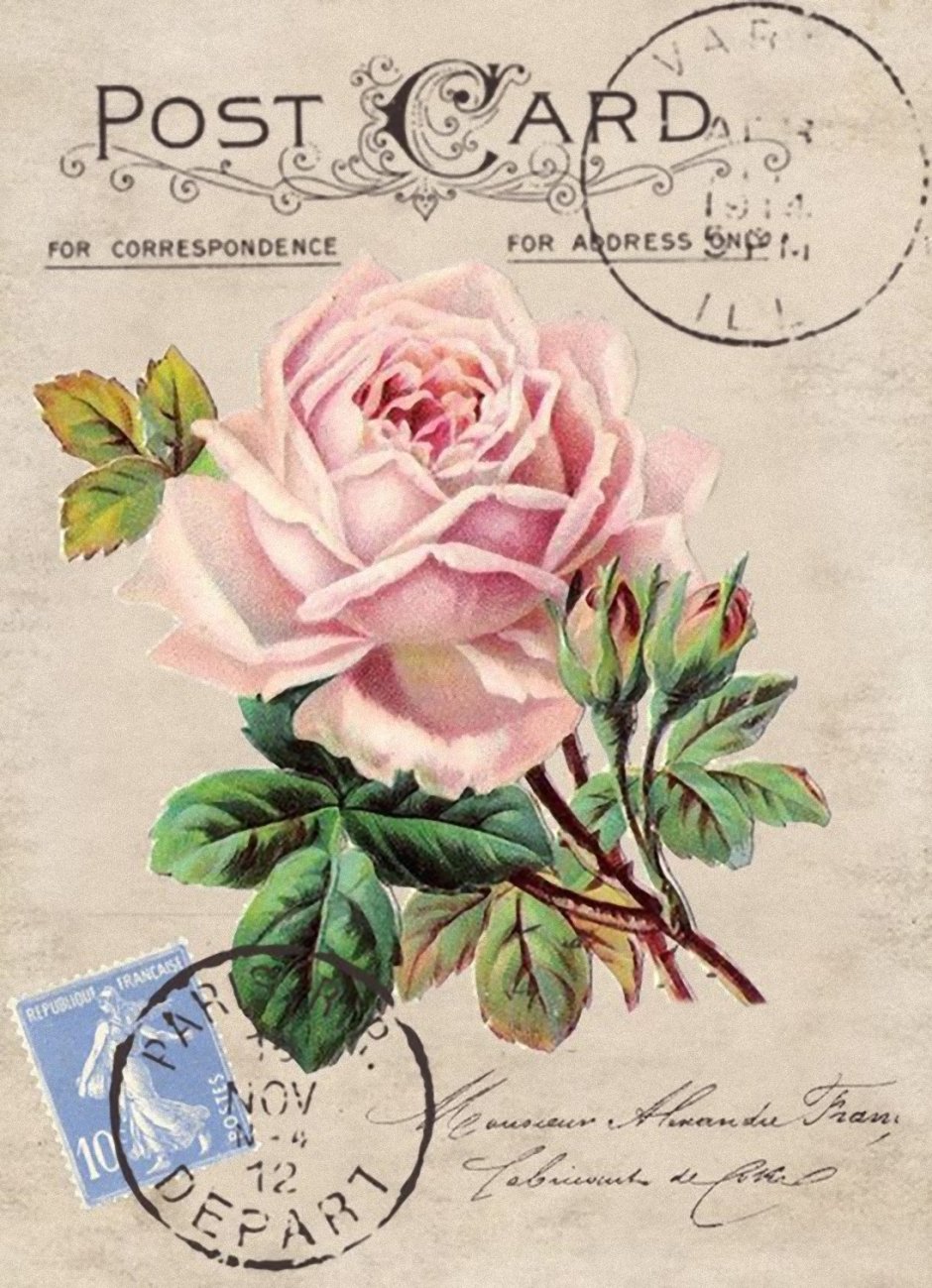 Винтажная карточка с цветами