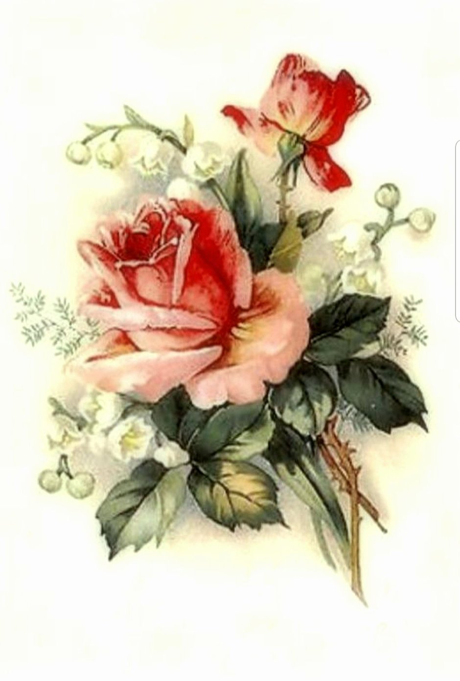 Винтажная открытка с розами