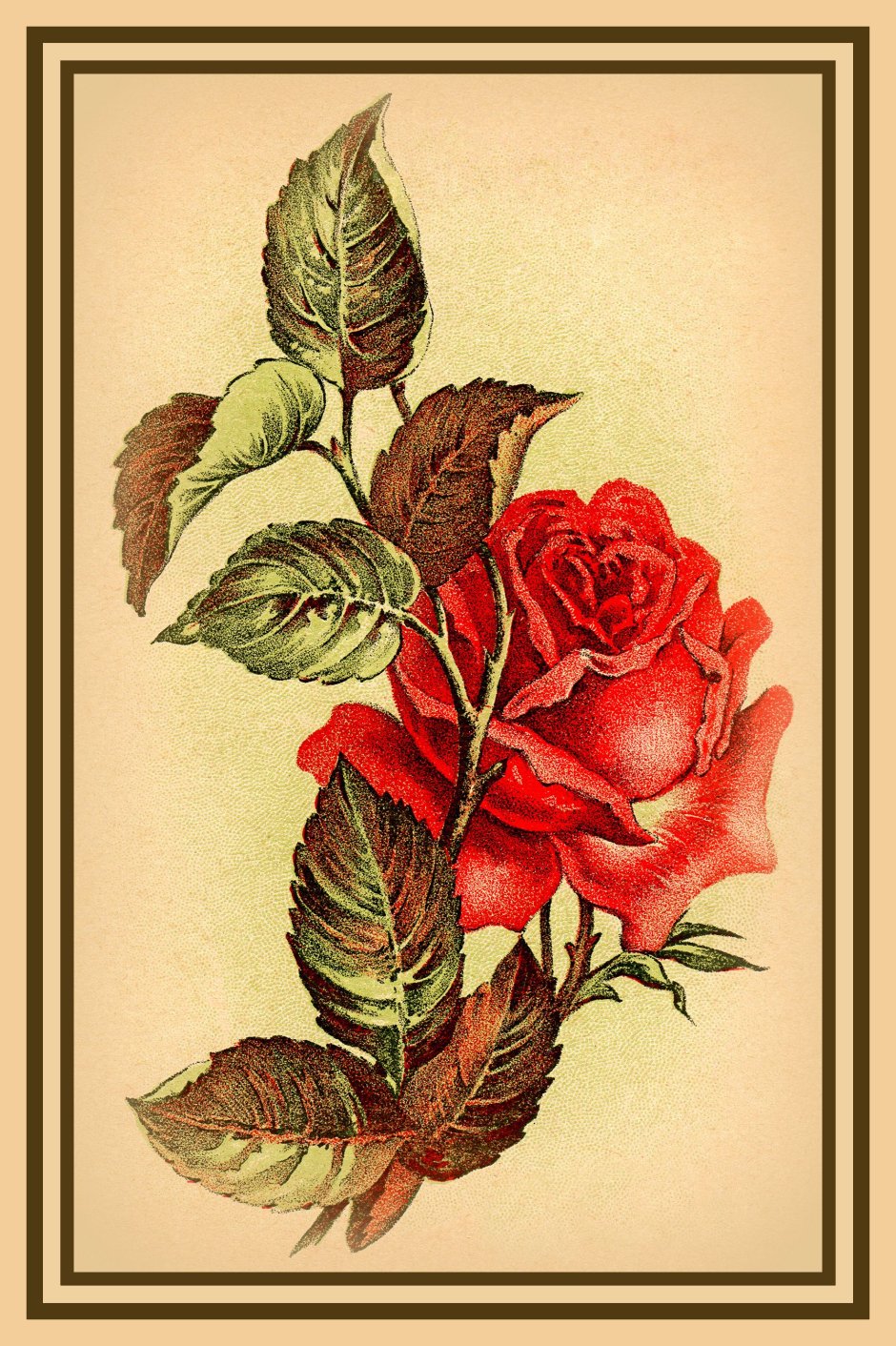 Винтажные розы тату