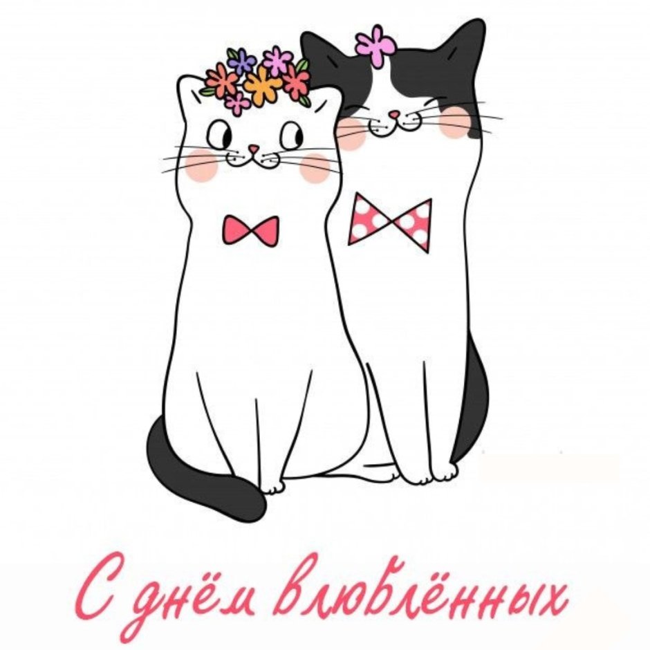 Открытки с днём Святого Валентина с котиками