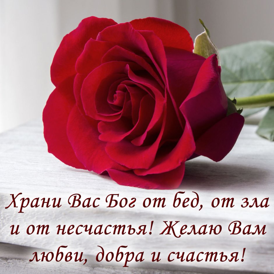 Розы с пожеланиями счастья и здоровья