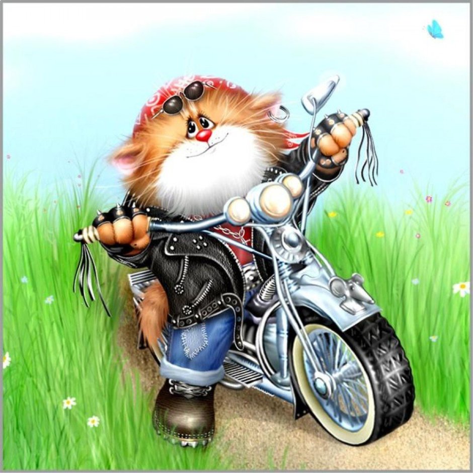 Коты на мотоцикле
