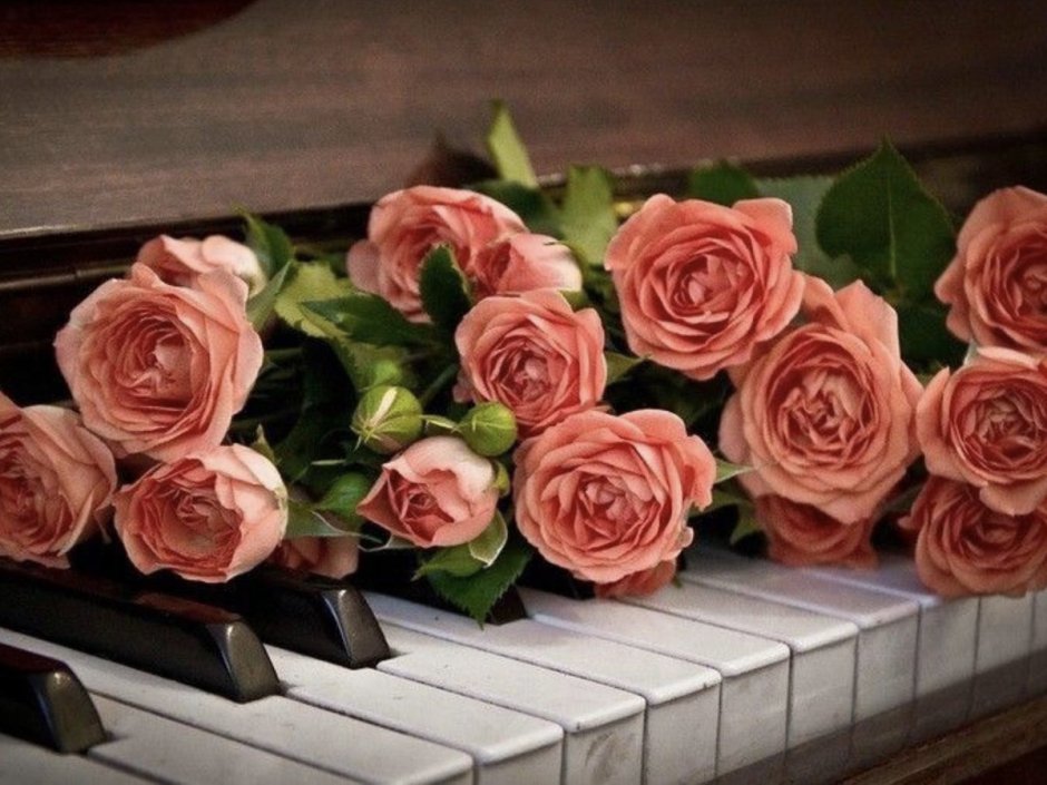 Розы на рояле