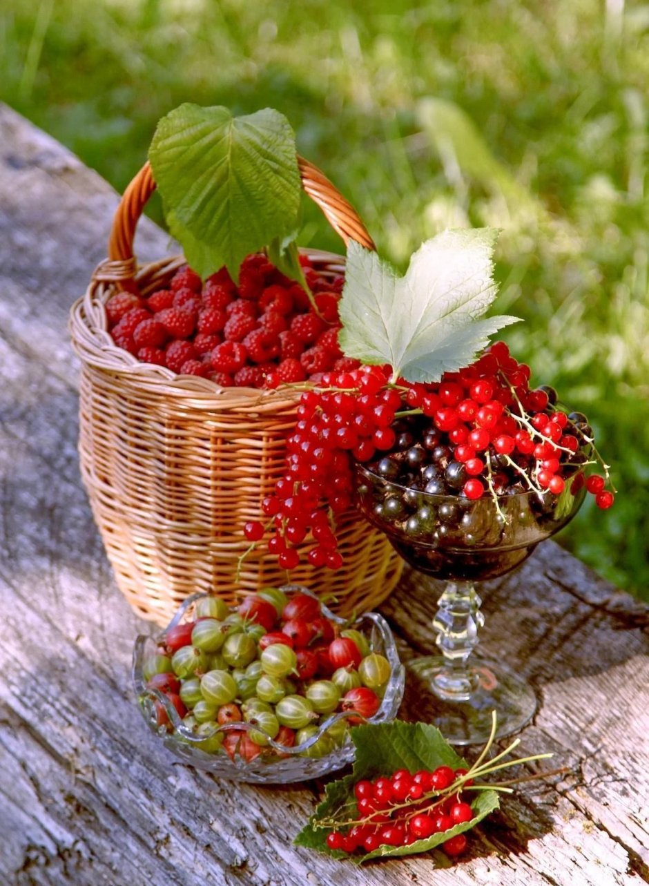 Июльские ягоды