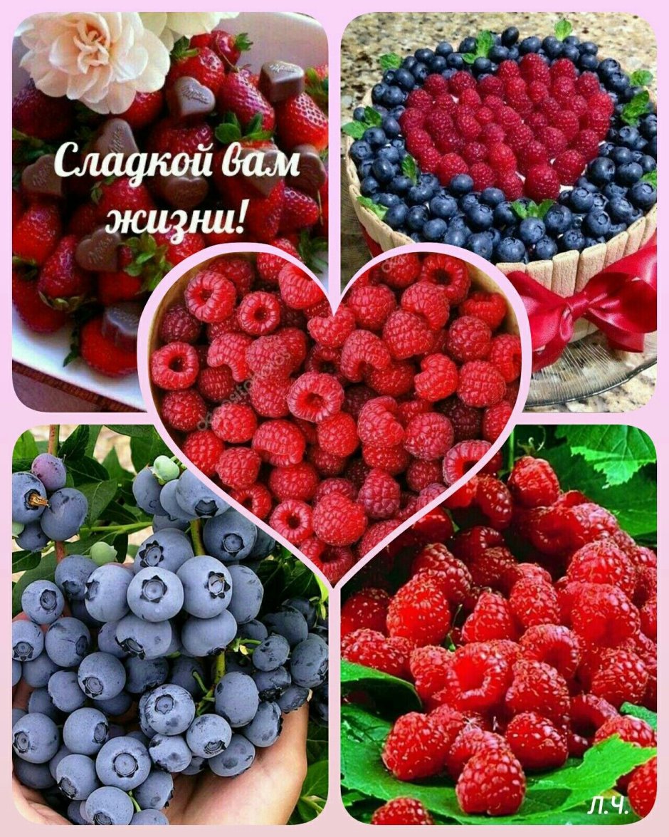 Красивые пожелания с ягодами