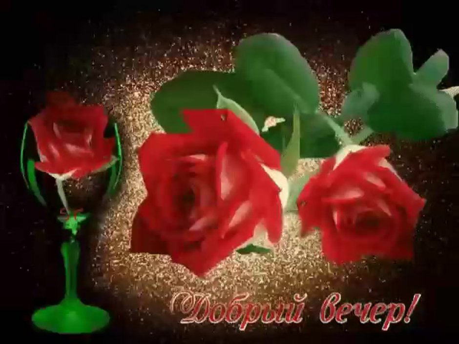 Добрый вечер с розами