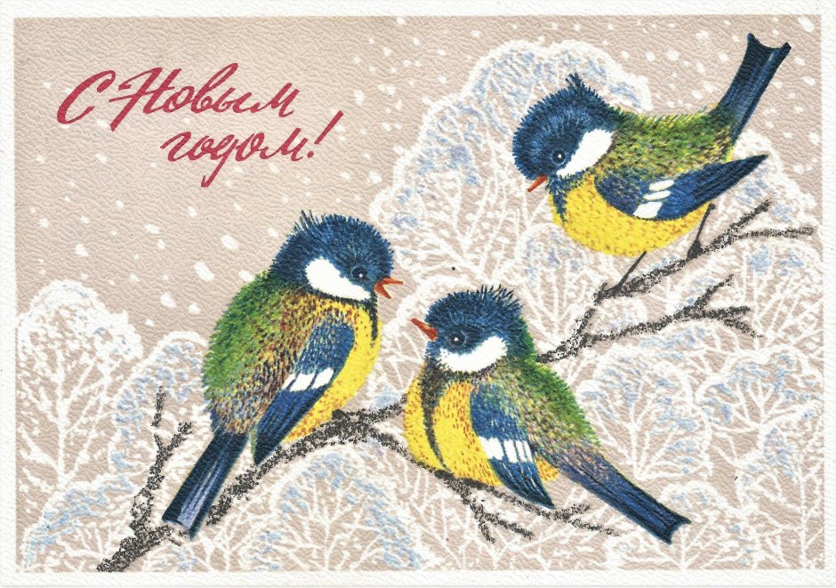 Новогодние открытки синички