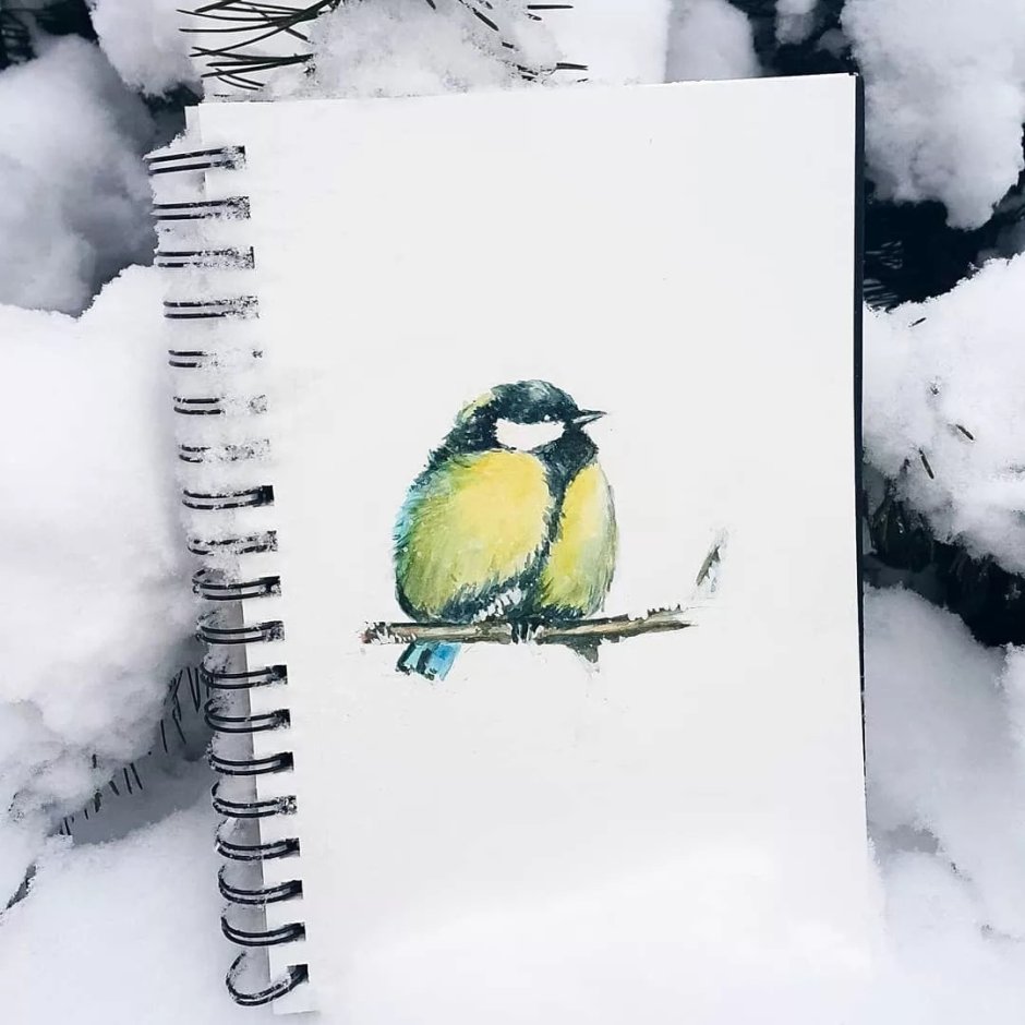 Скетчинг птицы зимой