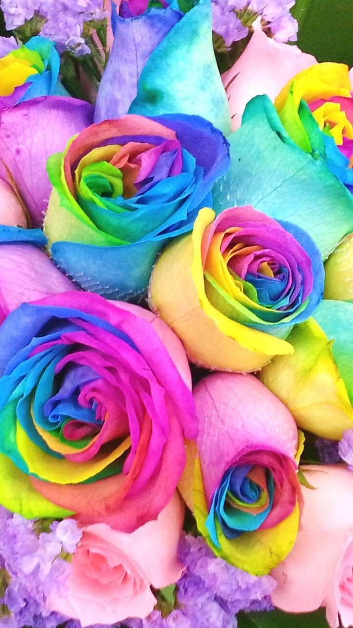 Радужные цветы