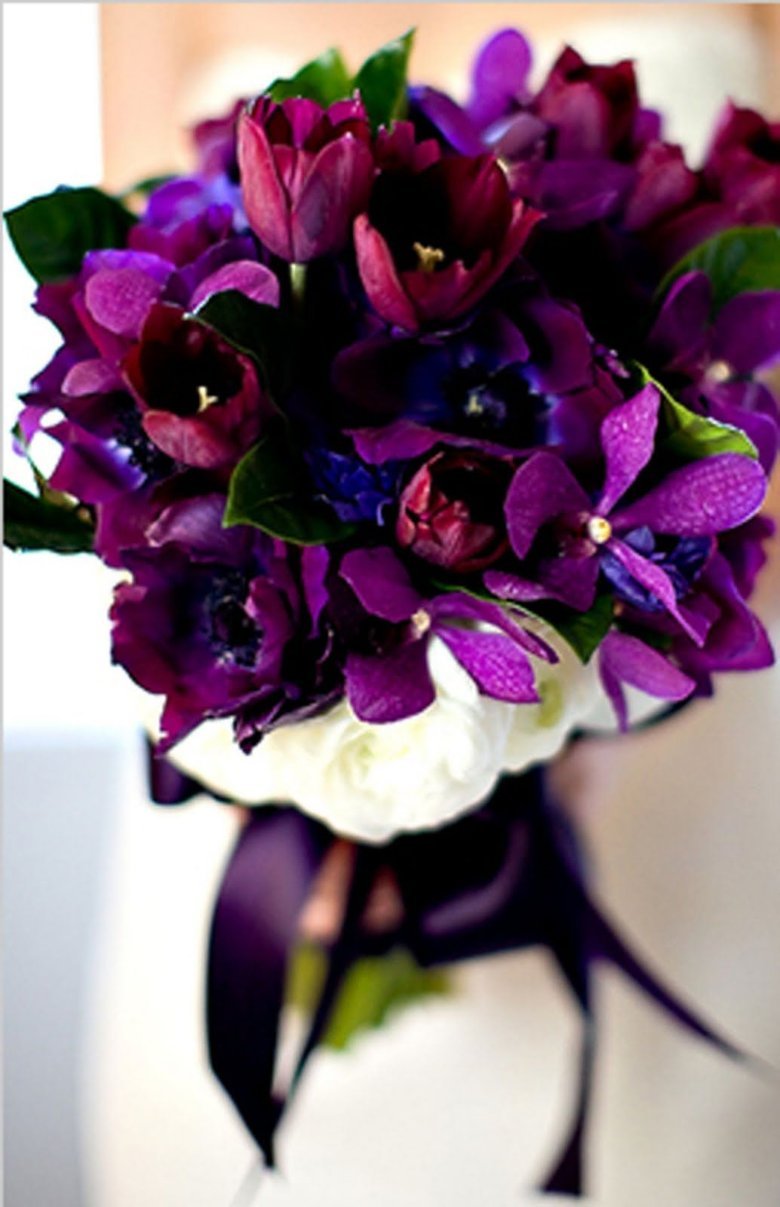 Бордово фиолетовые цветы