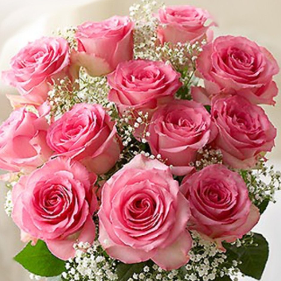 Розовые розы с гипсофилой