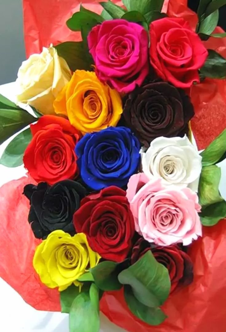Три разноцветные розы