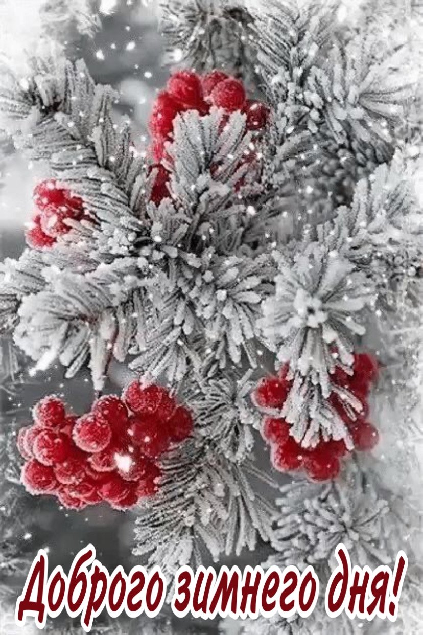 Сказочные зимние цветы