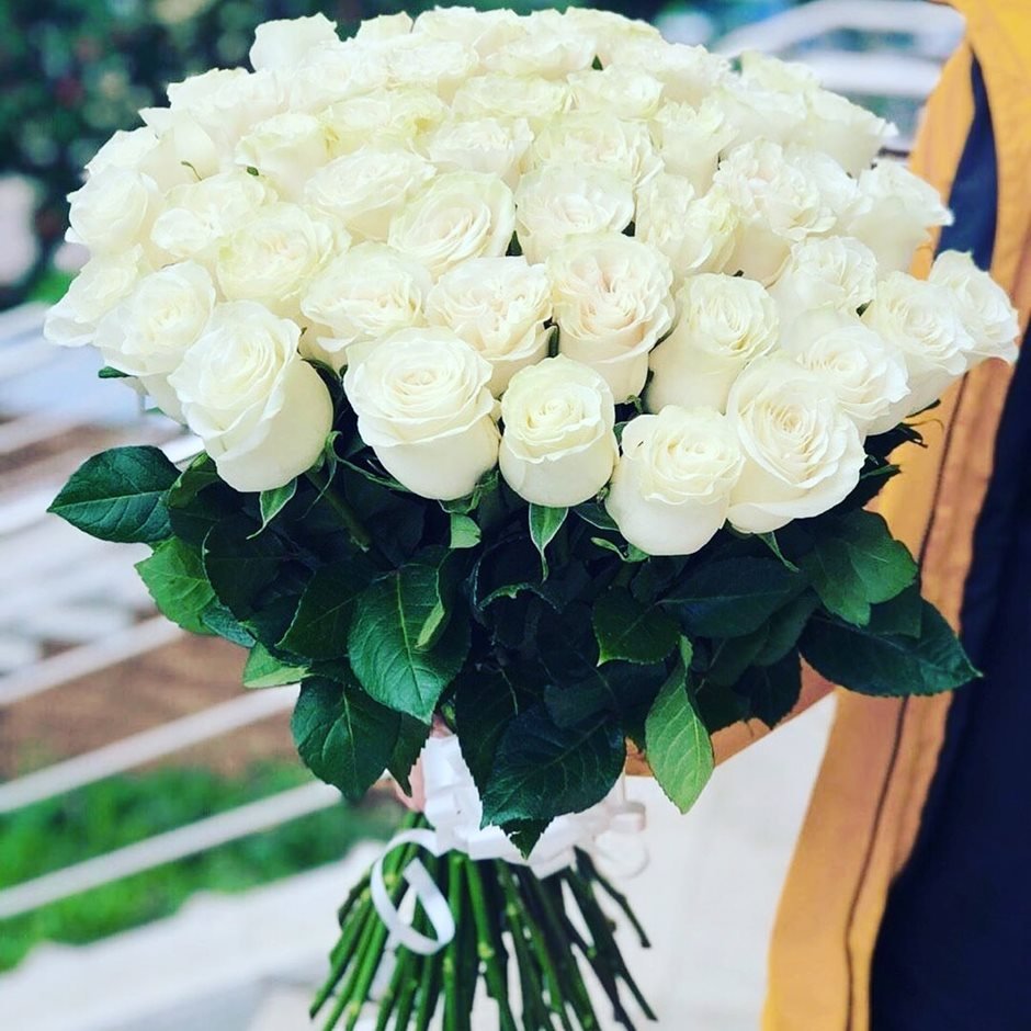 Белые розы Эквадор Alba 70см