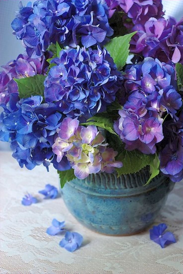 Синие цветы в вазе