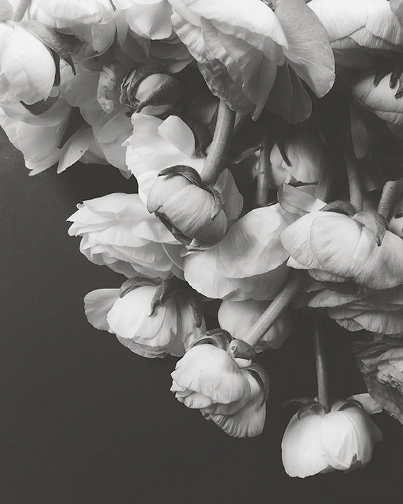 Белые цветы на черном