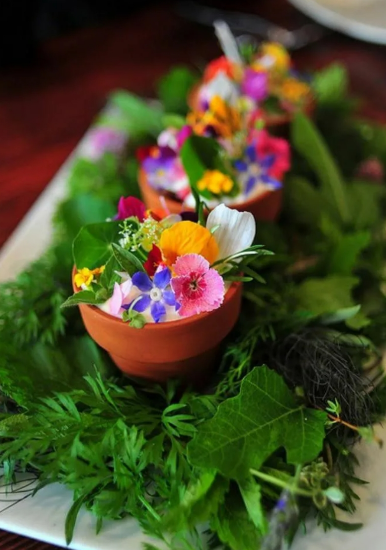 Цветы для украшения блюд