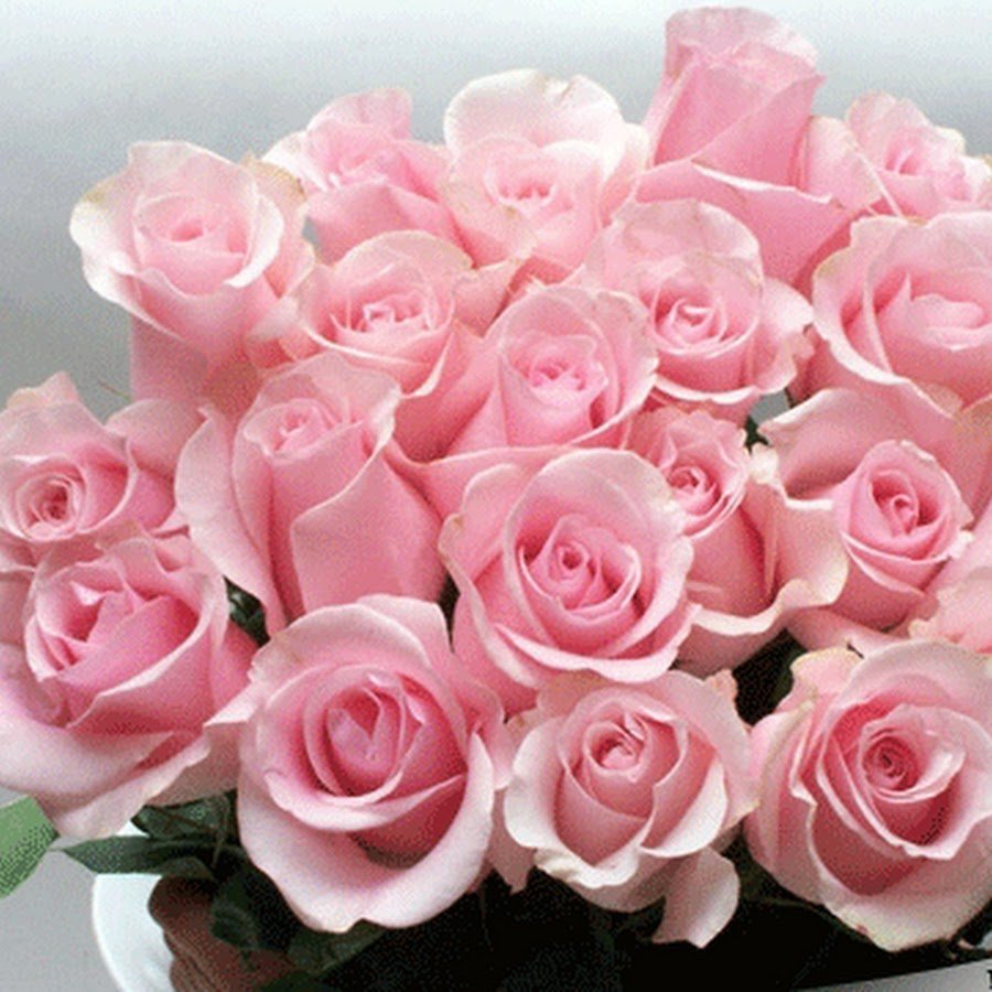 С днём рождения розовые розы