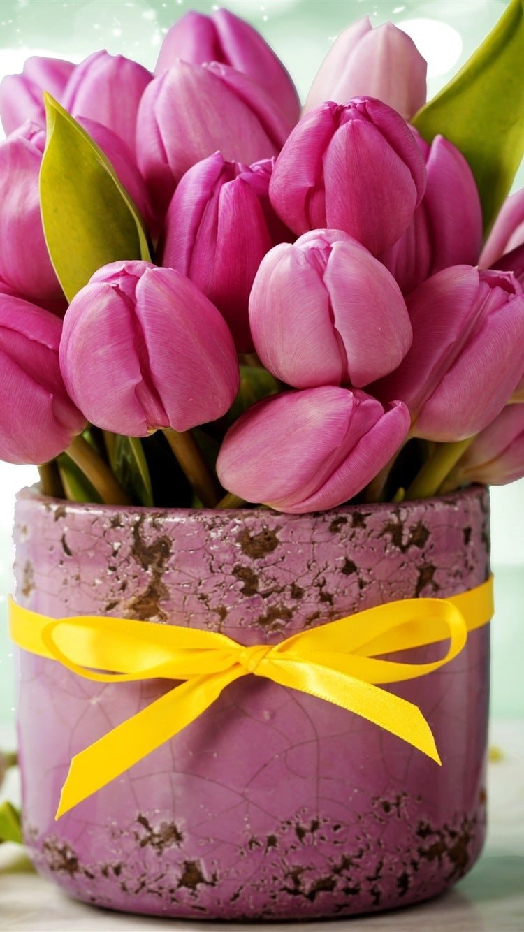 С днем рождения розовые тюльпаны