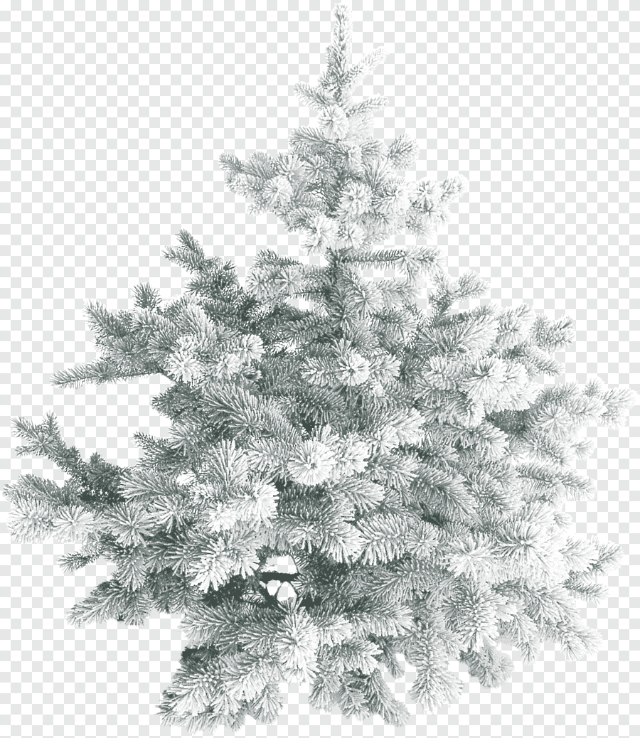 Снежная елка на прозрачном фоне