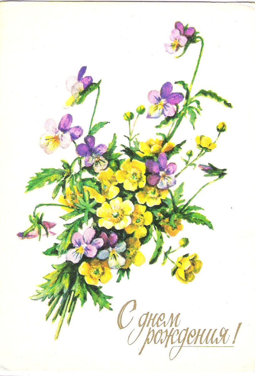 Полевые цветы открытки СССР