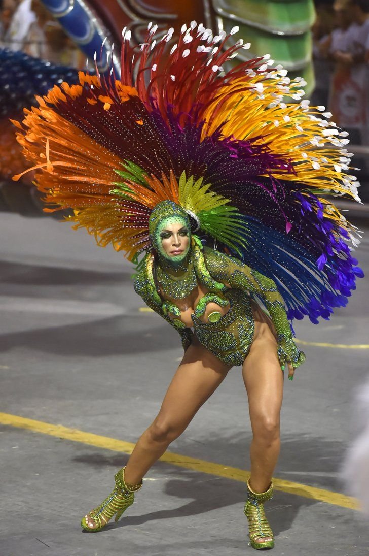 Карнавал Рио де Жанейро 2016