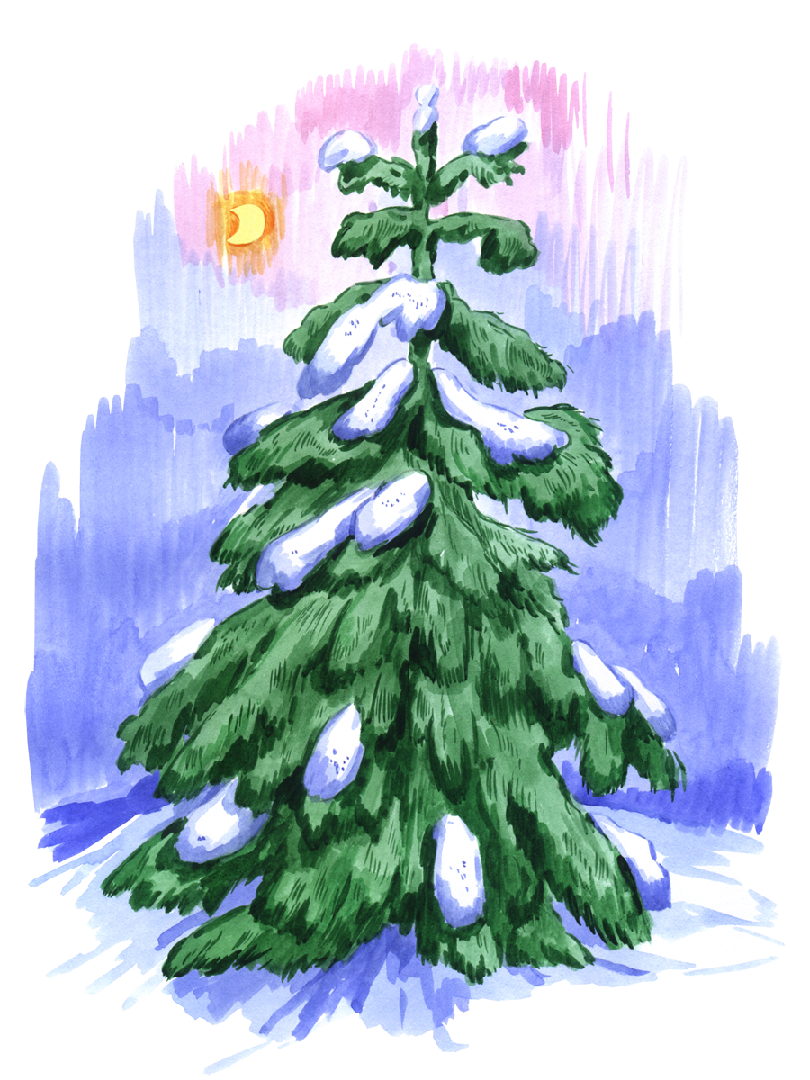 Рисование зимняя елка