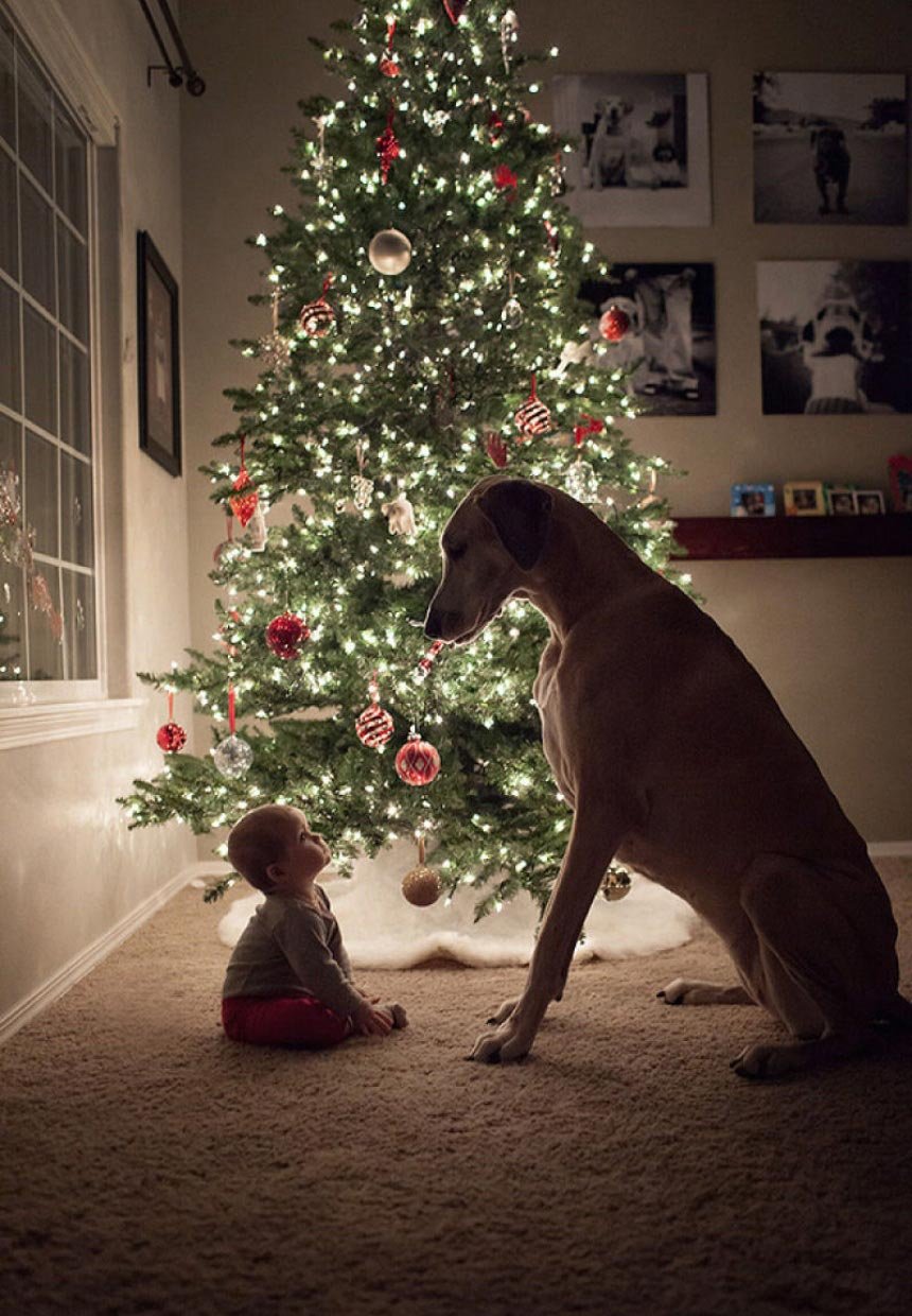 Рождественская елка с собакой