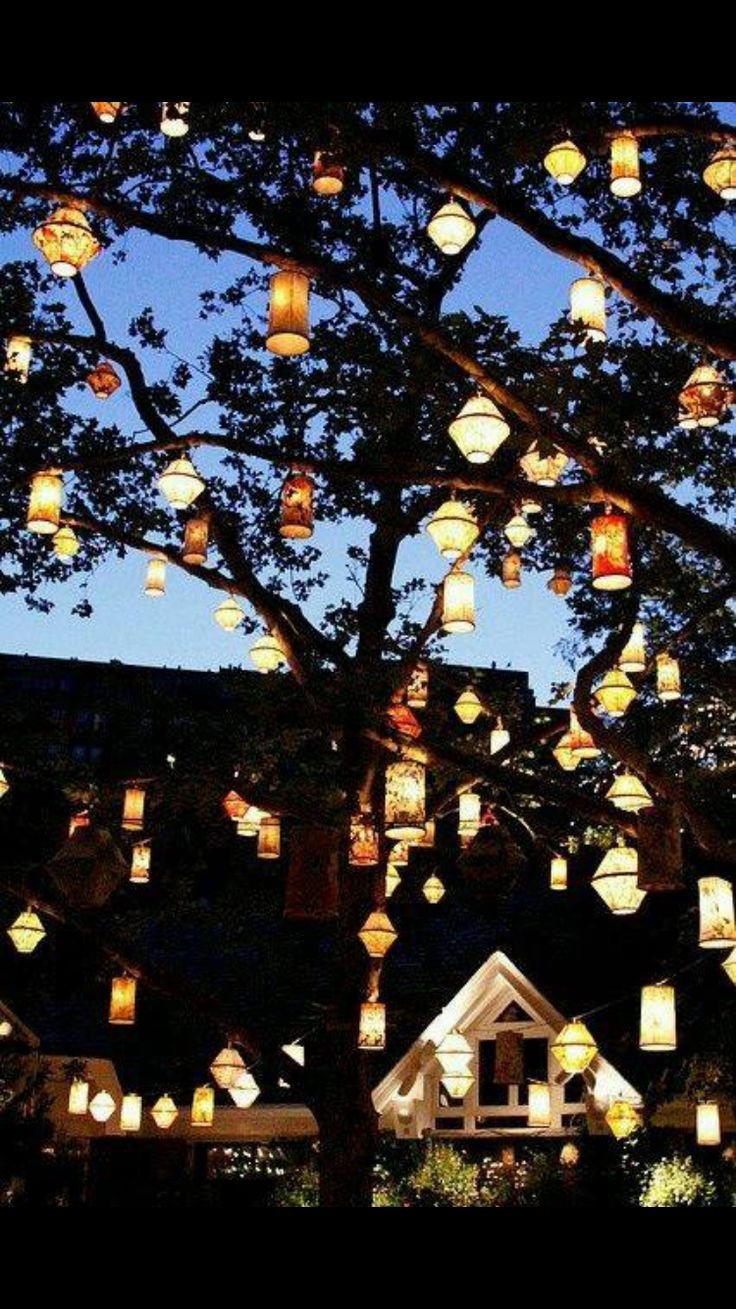 Деревья украшенные фонариками