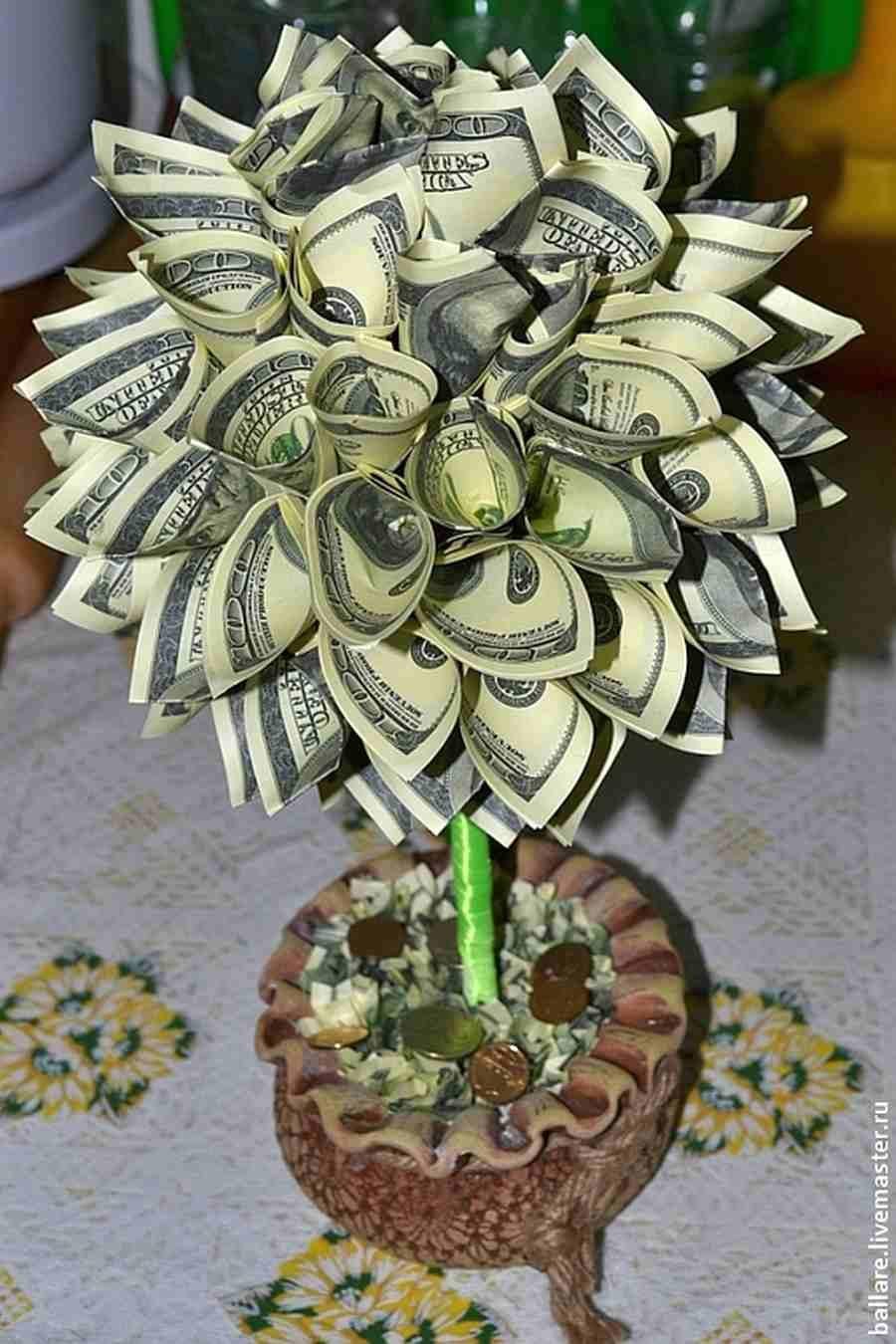 Топиарий денежное дерево