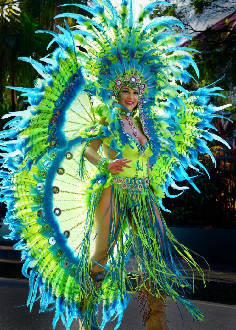 Бразильский карнавал, костюмы АММ