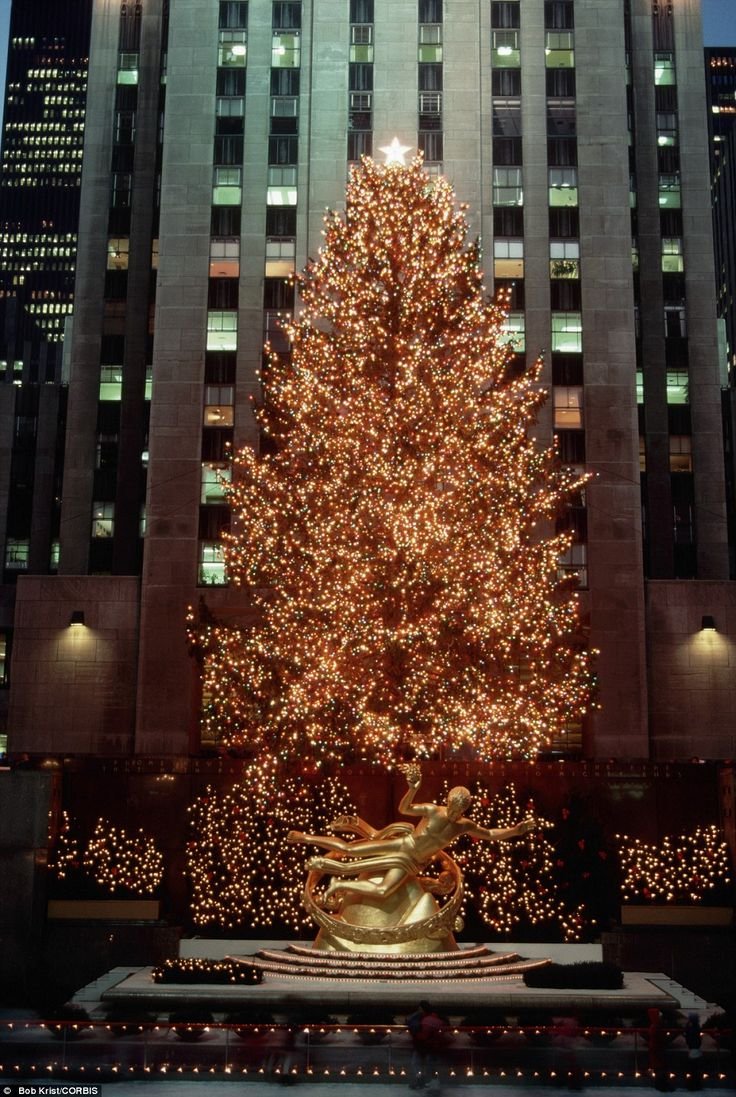 Новогодняя елка в Рокфеллер центре