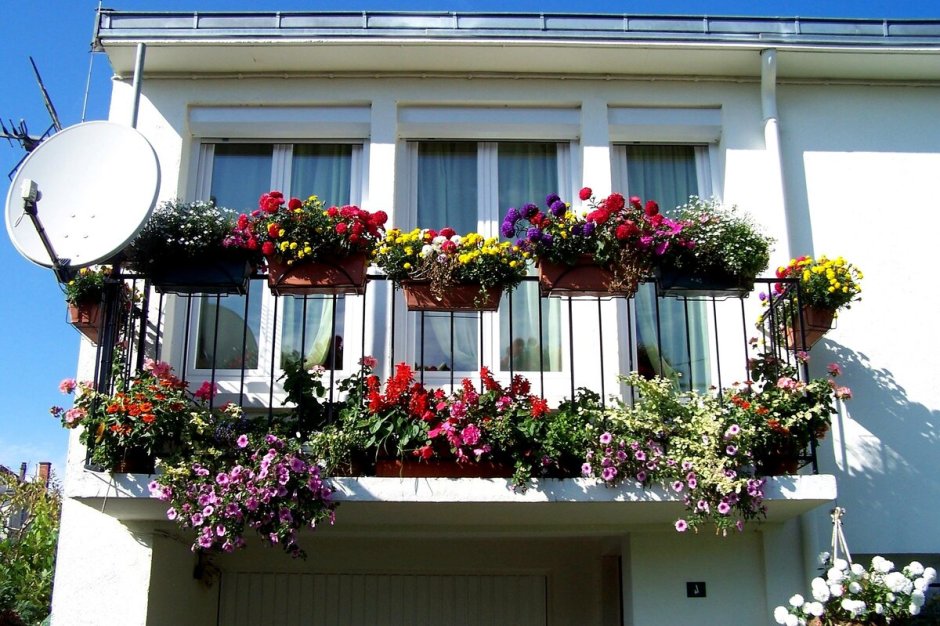 Цветущий балкон