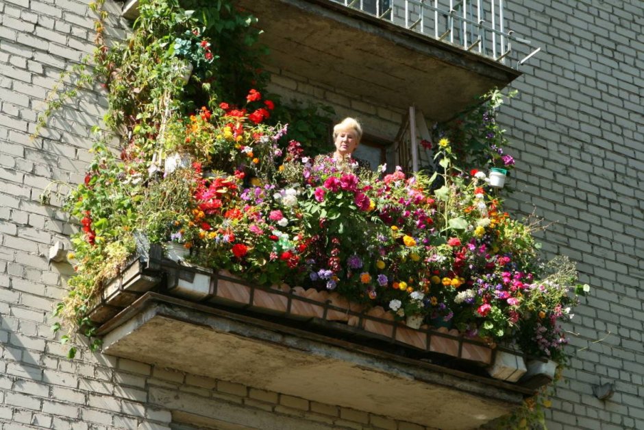 Цветник на балконе