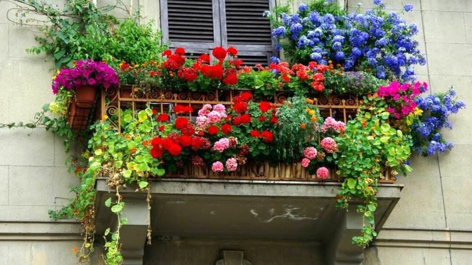 Балконы с цветами в Европе