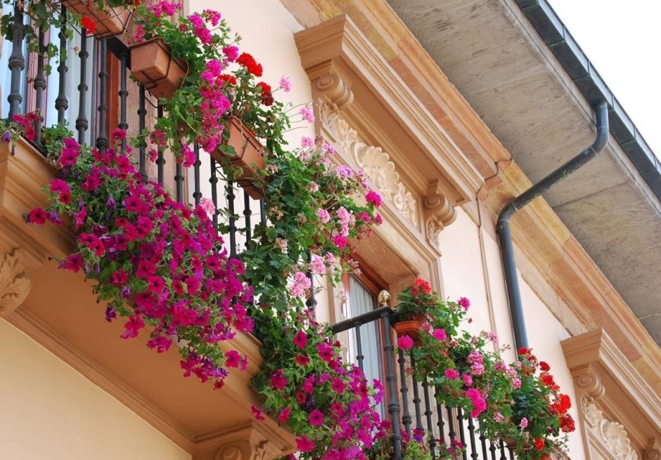 Декор балкона цветами
