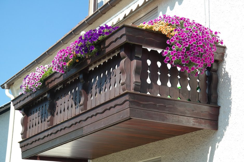 Цветы на балконе