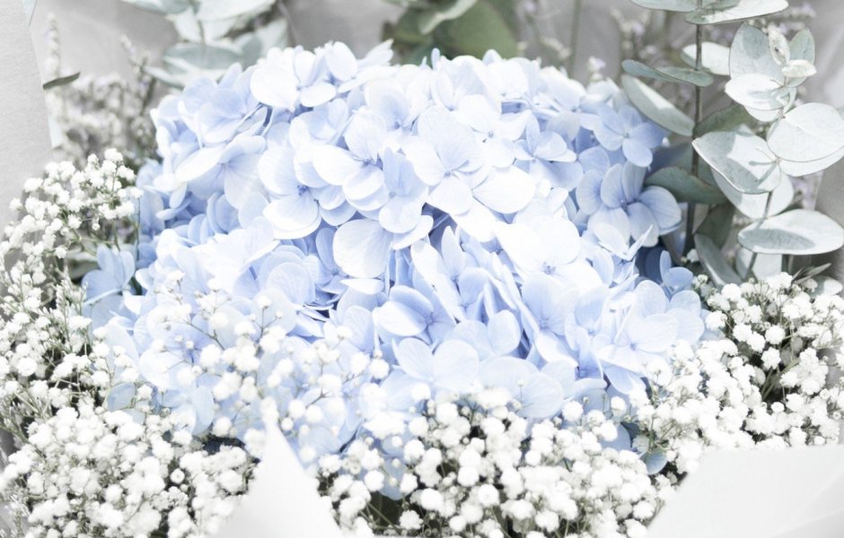 Нежно голубые цветы