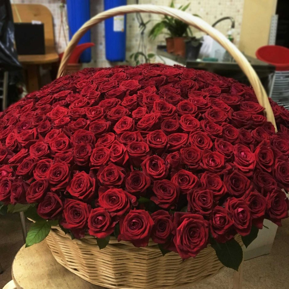 Большой букет роз дома