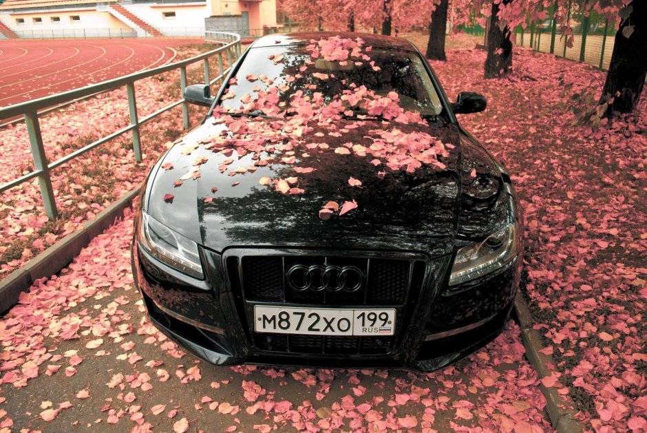 Машина возле цветов