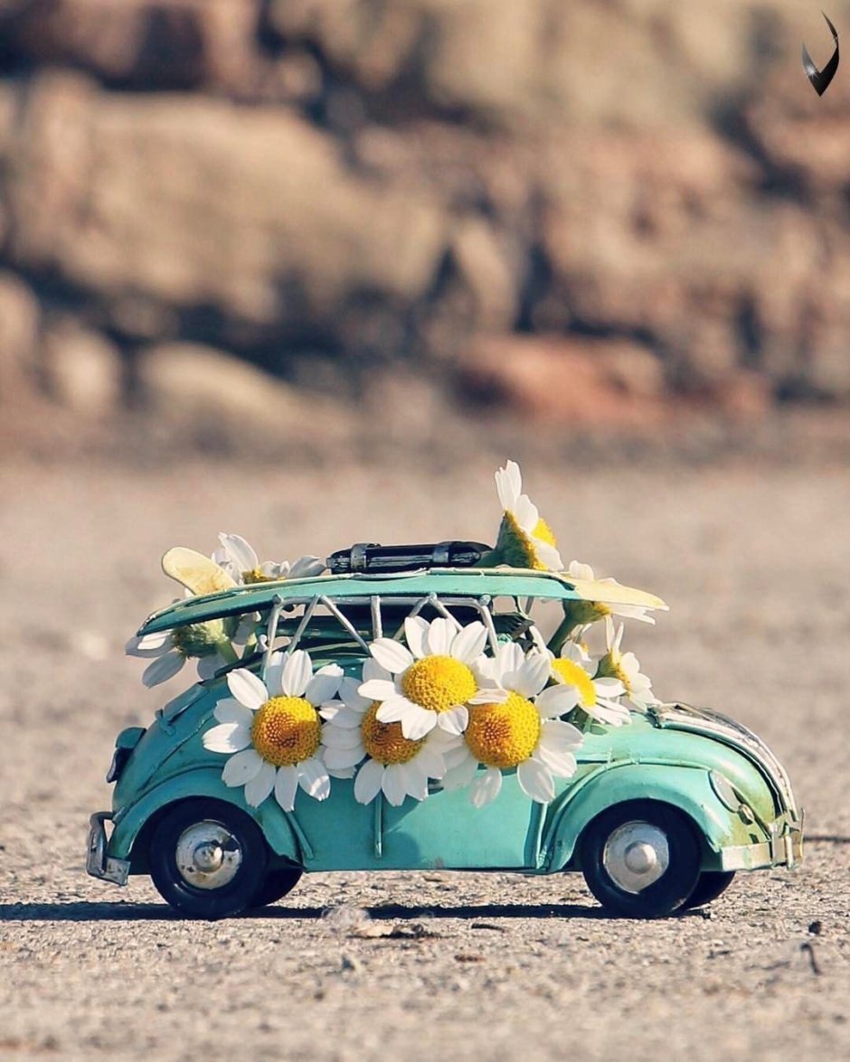 Машинка с цветочками