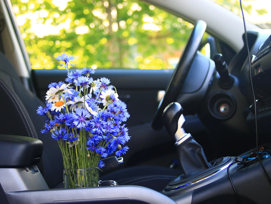 Букет полевых цветов в машине