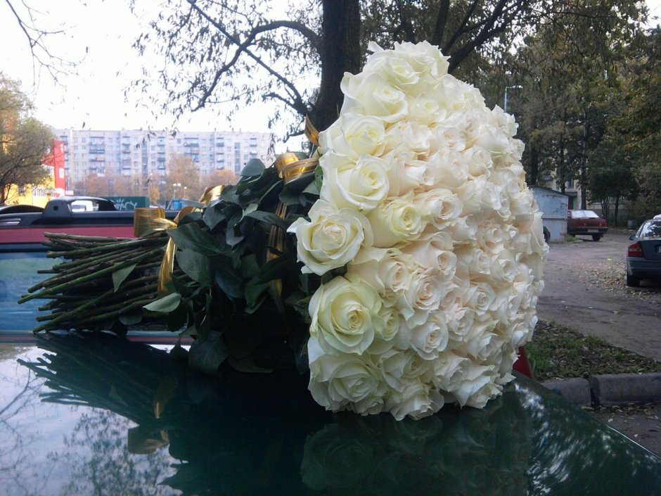 Большой букет белых роз в машине