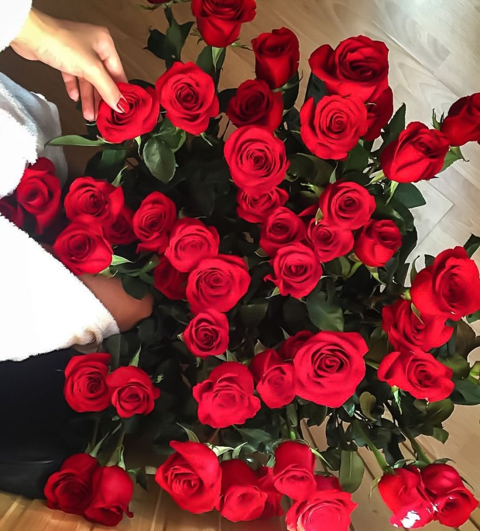 Букет красных роз Инстаграм