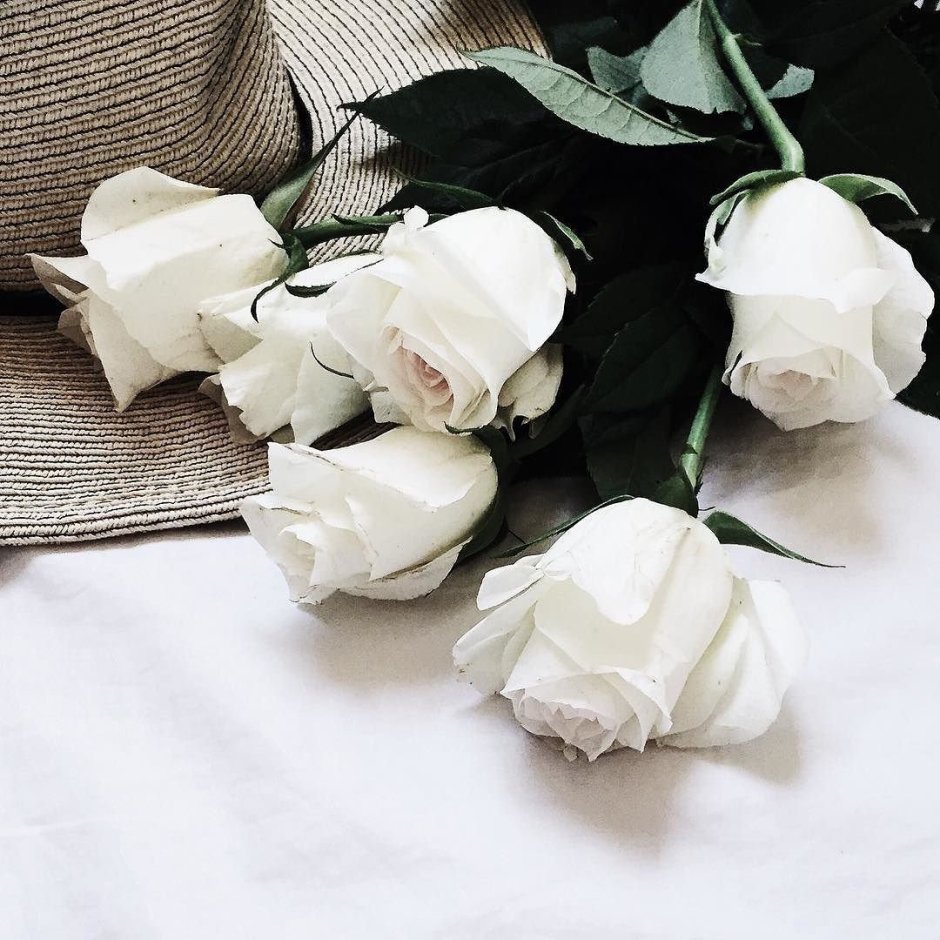 Белые розы на постели