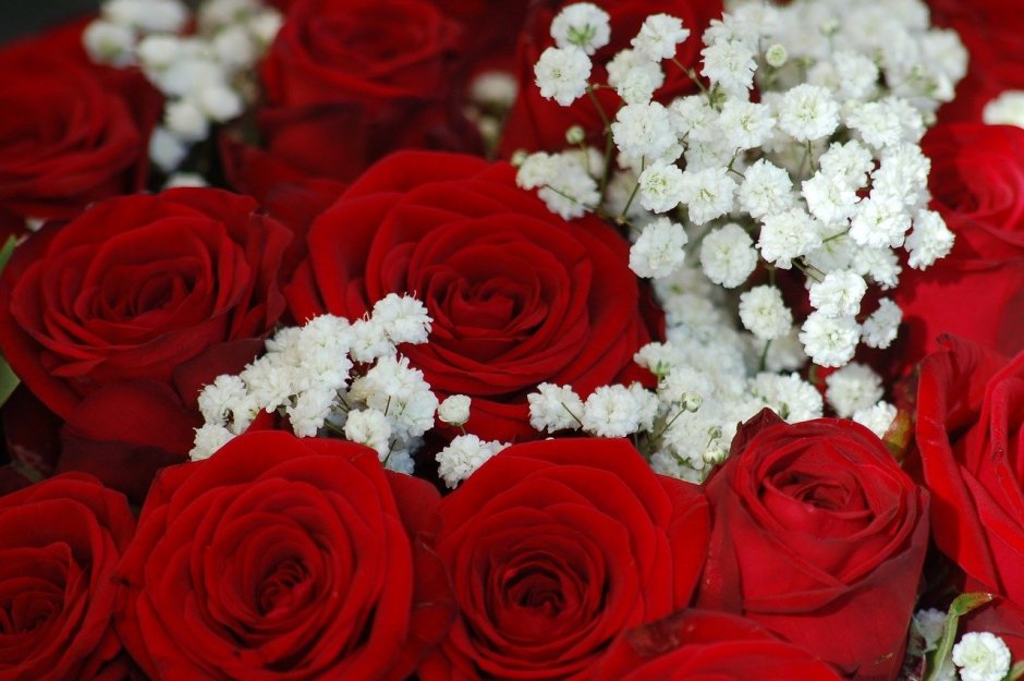 Красные розы с белыми цветочками