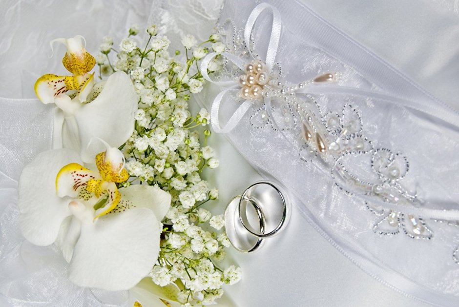 Свадебные кольца и Орхидея