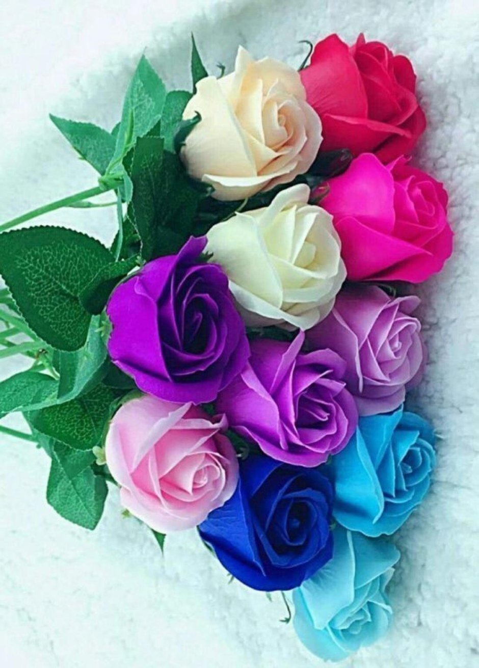 Букет цветов цветной розы